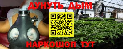 индика Бузулук