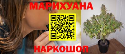 индика Бузулук