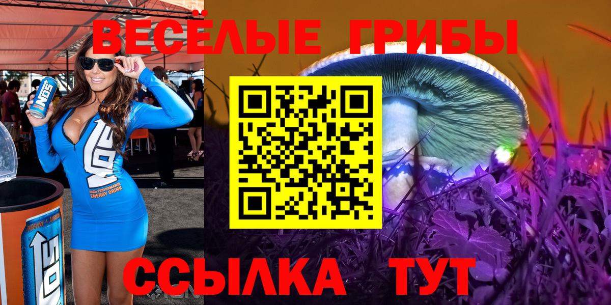 Галлюциногенные грибы мухоморы  Вход с VPN  Сунжа 