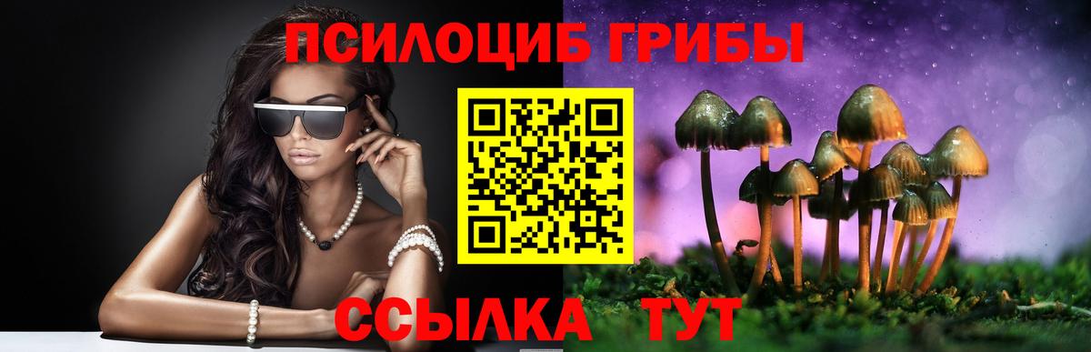 Псилоцибиновые грибы ЛСД Сунжа